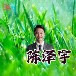 陈泽宇